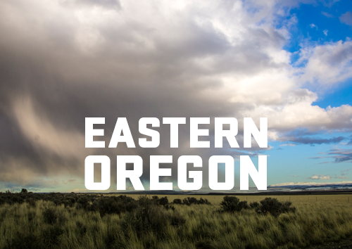 "Eastern Oregon" with large clouds and a grassy field in the background