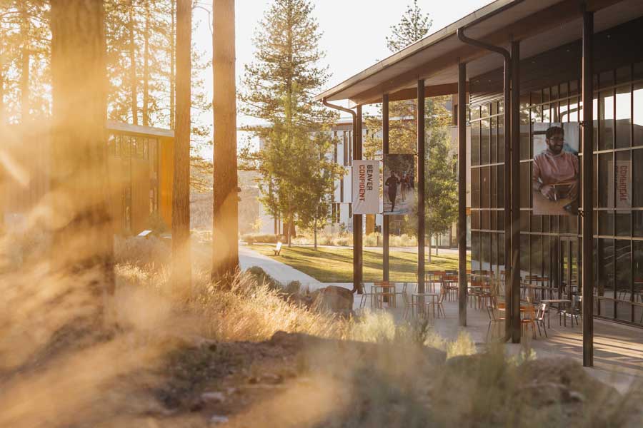 exterior of building with floor to ceiling windows banked by trees and mist