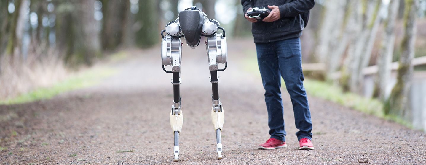 cassie a bipedal robot