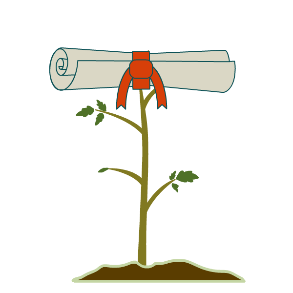 a sapling tree with a diploma at the top