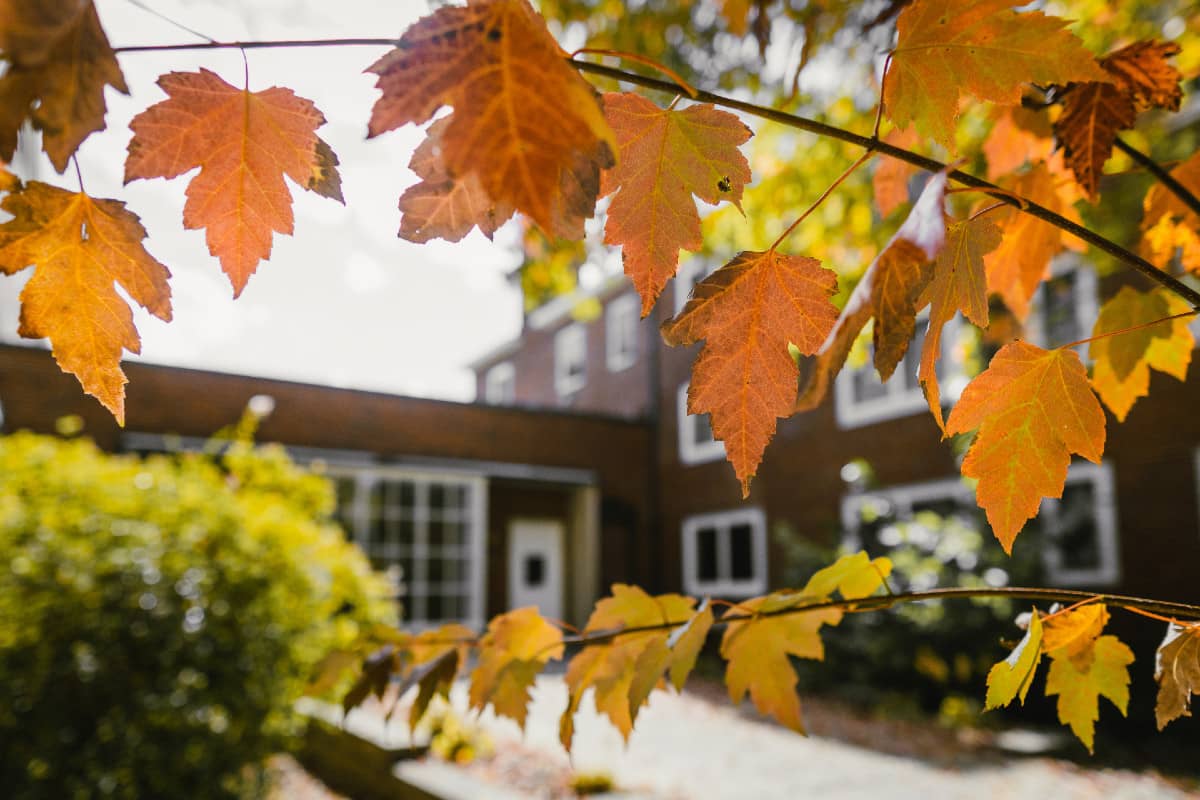 dorm with fall leaves in the foreground