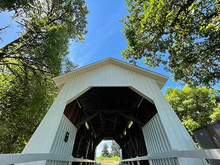 covered bridge surrounded by trees