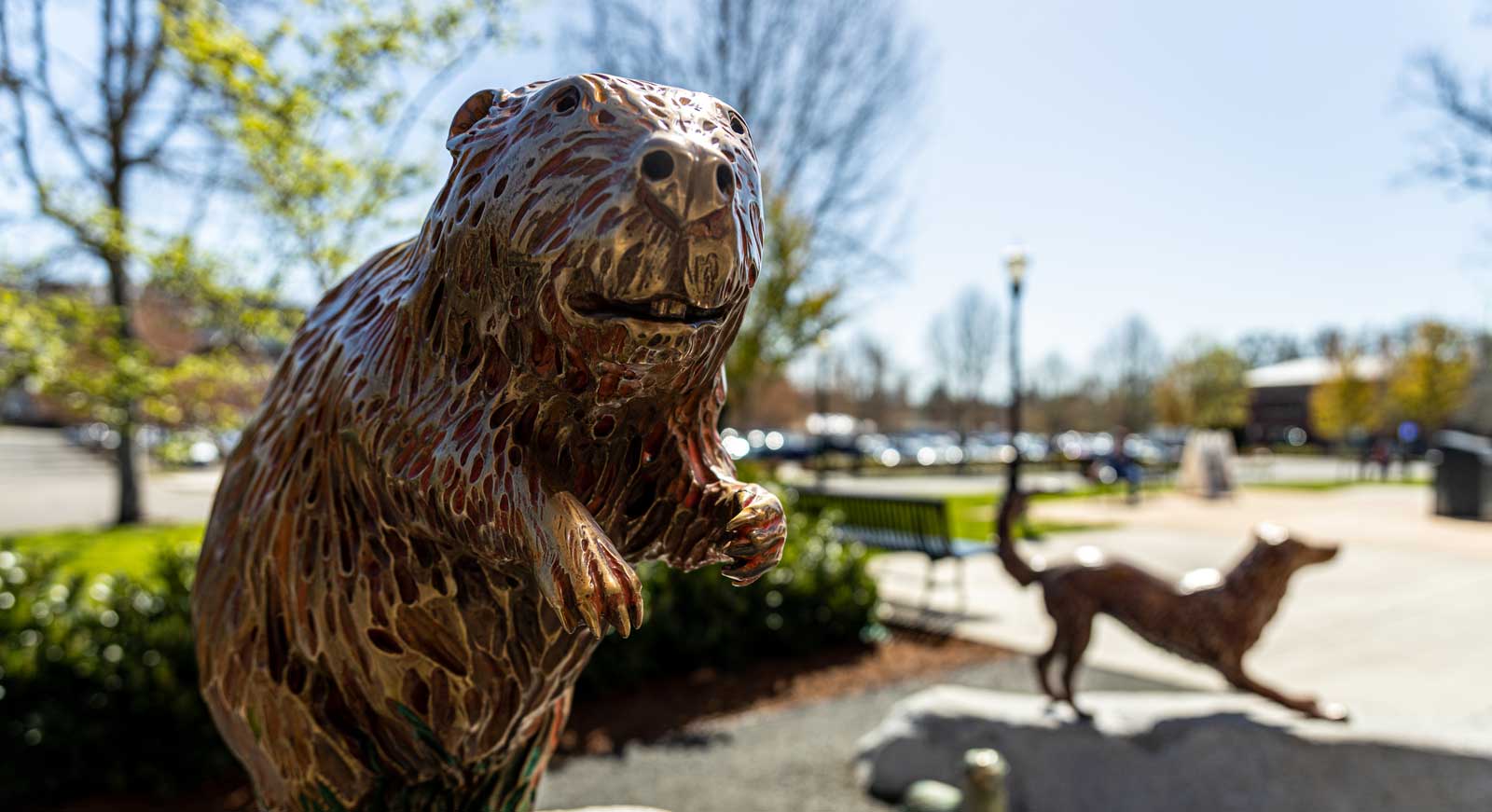 bronze beaver statue in sculpture garden