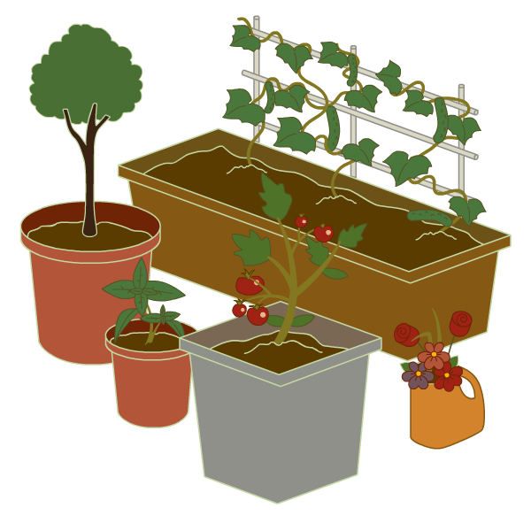 Pots & Planters for Container Gardening