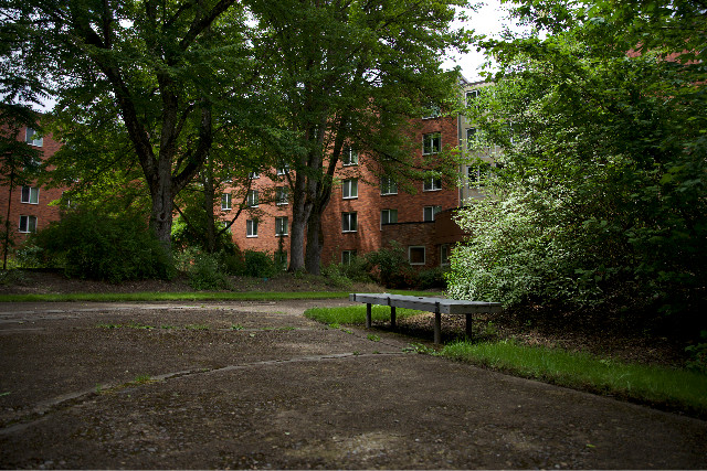 bench with tall trees and a brick building in the background