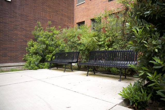 2 metal benches inset in some bushes