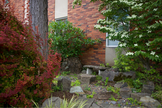 stone bench in a zen garden