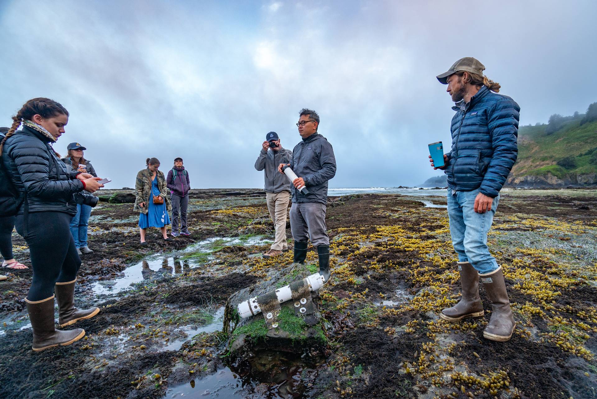 researchers standing on tidal pools with samples