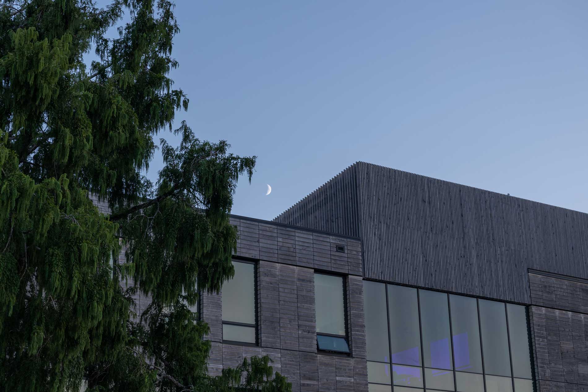 sliver of moon hanging over wood sided building with evergreen tree in the foreground