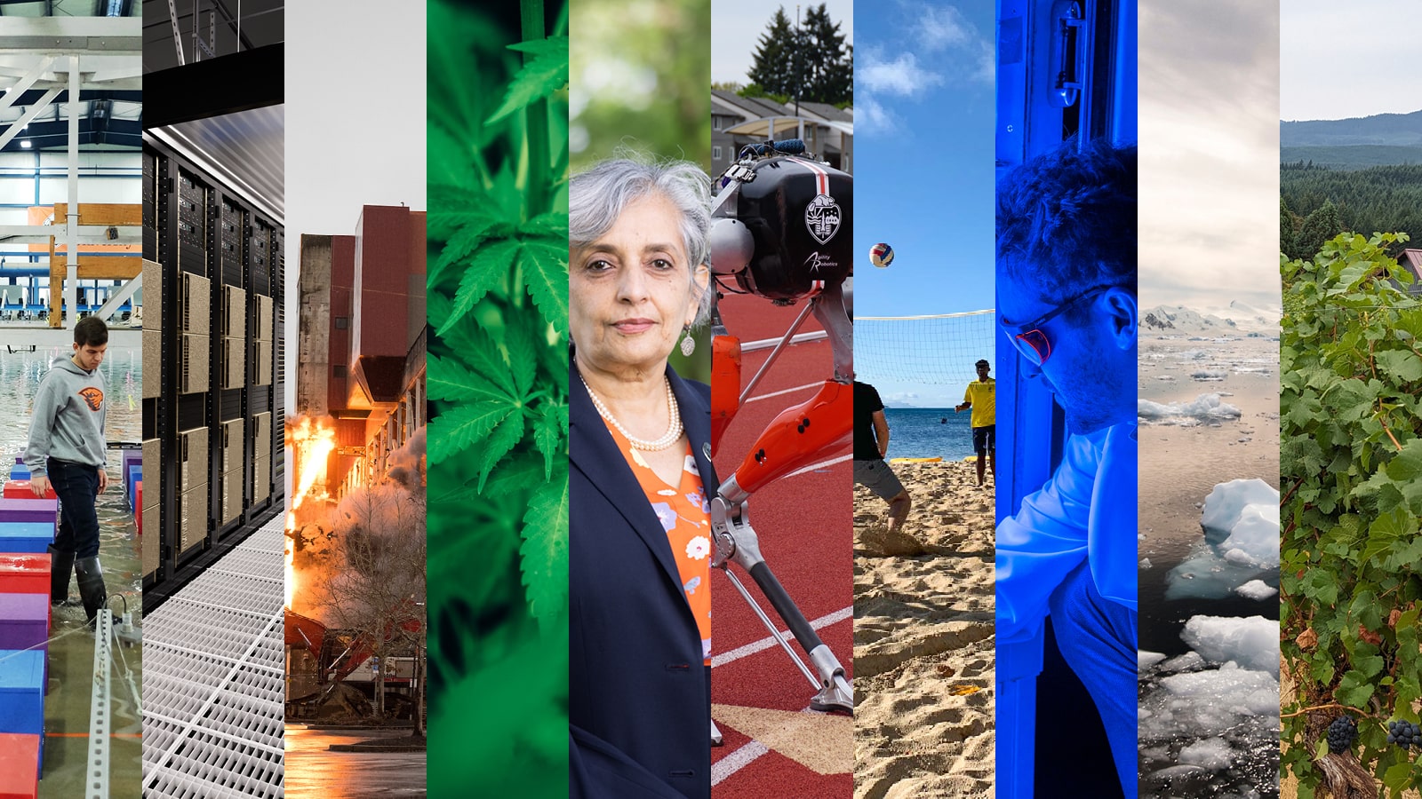 collage of 10 photos: person working in gymnastics, supercomputer, Reser exploding, hemp, President Jayathi, bipedal robot, beach volleyball, researcher in blue light, floating ice in ocean, landscape of Willamette Valley