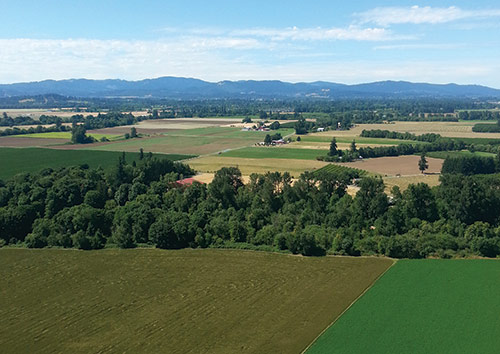 aerial of a field with a tree break and mountains in the distance