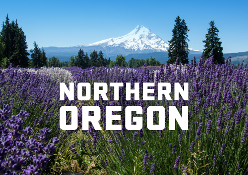 "Northern Oregon" with Mt Hood and flowers in the background
