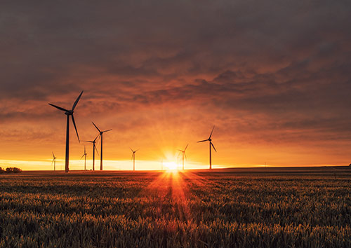 sunrise that illuminates a field with windmills
