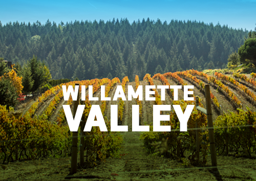 "Willamette Valley" with a vinyard in the background