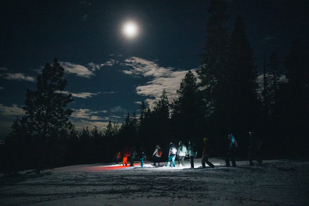 moonlit people in a snowy forest walking with flashlights
