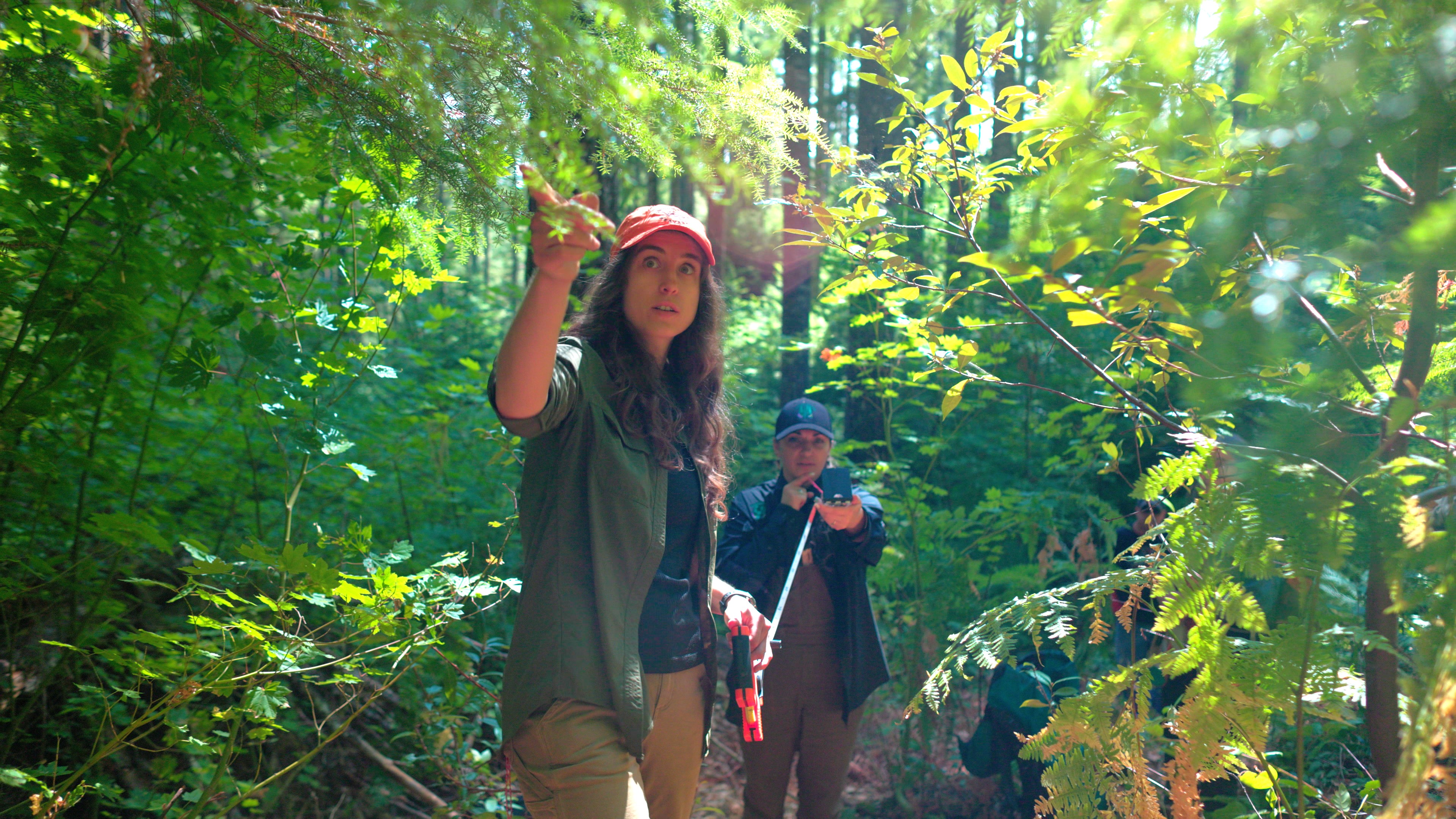 Two OSU researchers in the forest.