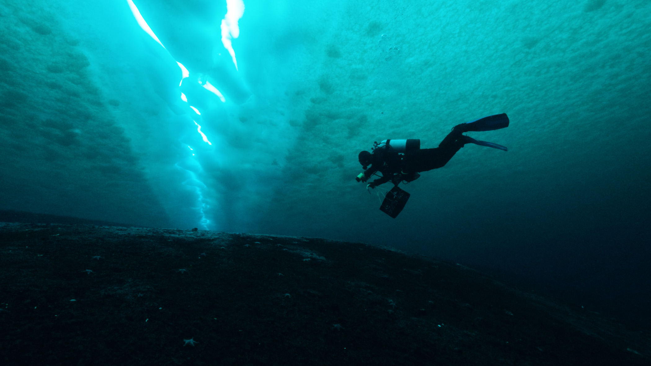 Diver under an ice shelf conducting experiments