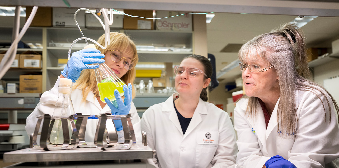 Students gather to study in a lab.