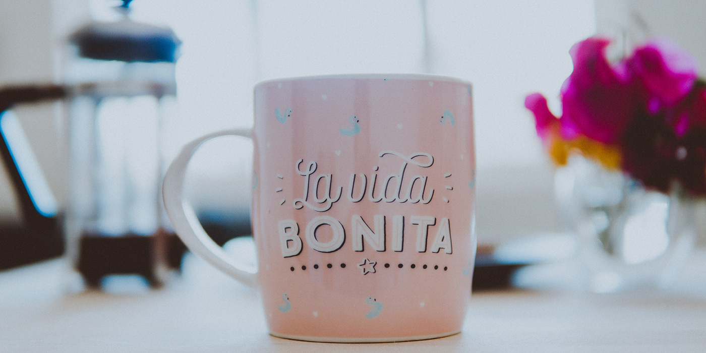 La Vida Bonita means A Beautiful Life in English