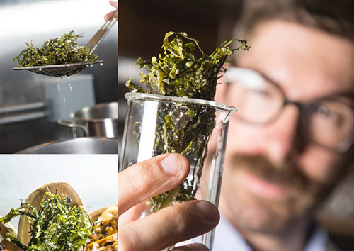Scientist Holding Food in a Beaker