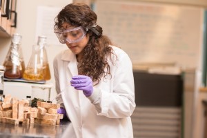 scientist working with wood samples