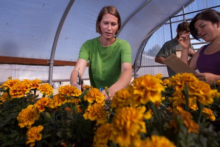 Botany students in greenhouse