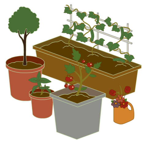 Southwest Container Gardening: Growing Potted Vegetables In