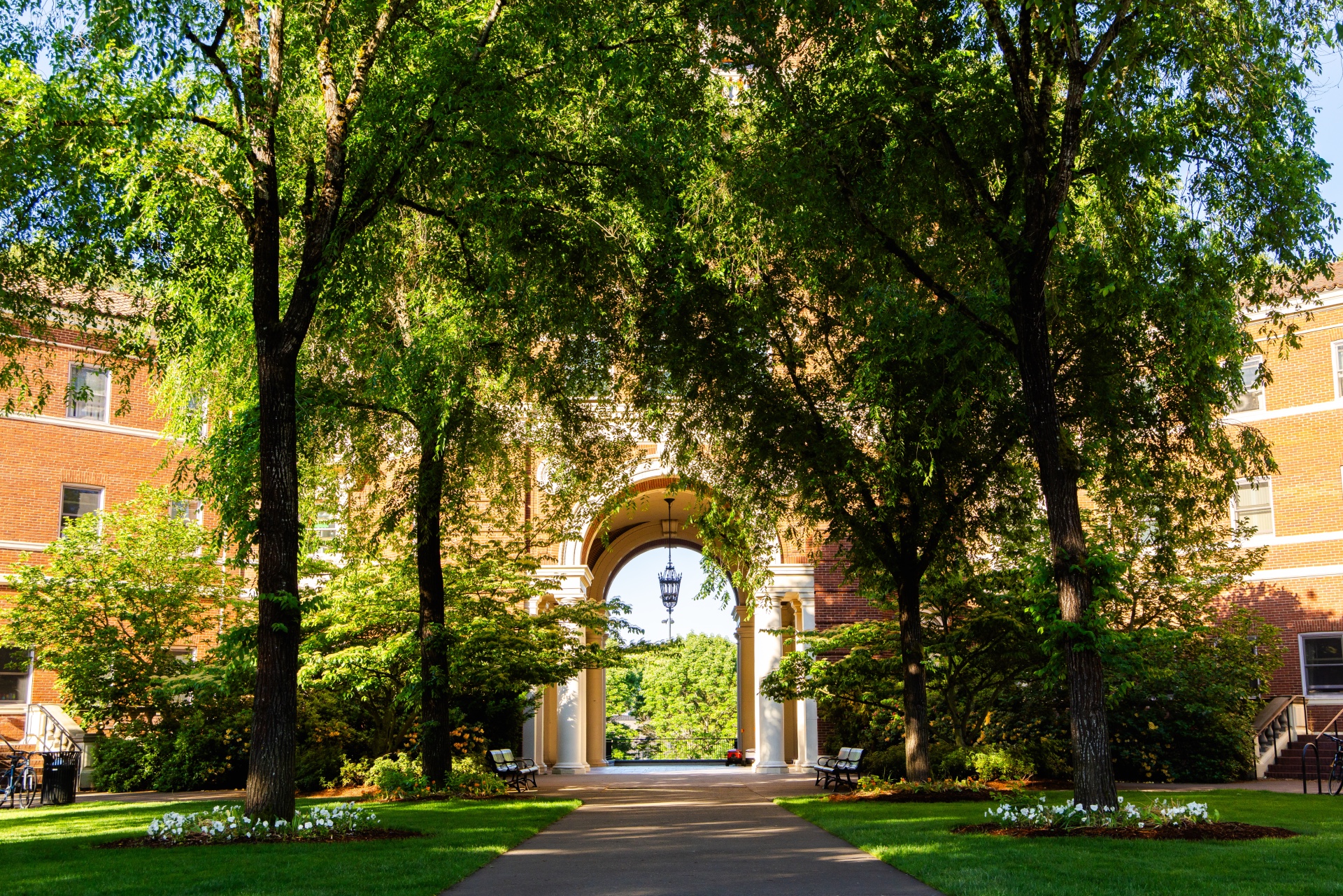 Summer on OSU's campus.